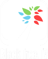 BlackTree TV